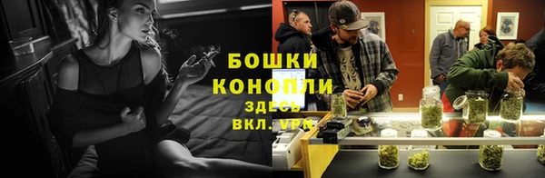шишки Арсеньев
