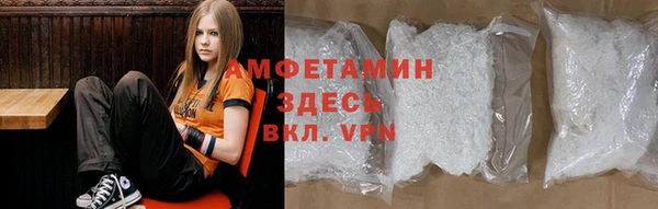 шишки Арсеньев