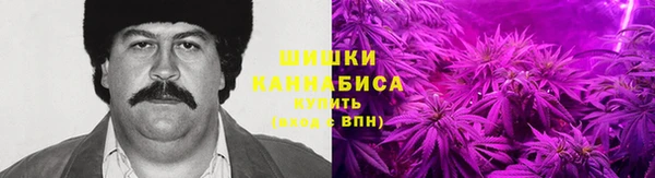 шишки Арсеньев