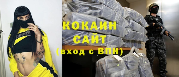 шишки Арсеньев