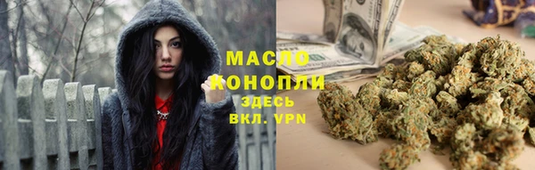 шишки Арсеньев